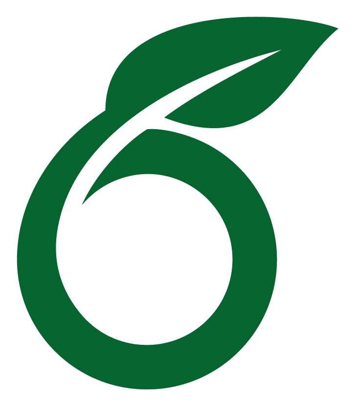 Overleaf